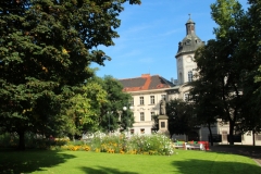 Kardiologie foto_02