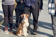 IMG-20250308-WA0016