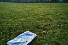 IMG_20221112_103840